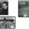Classez dans l'ordre chronologique les différentes étapes du génocide des Juifs et tziganes