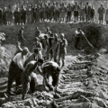 Quel est le bilan du génocide arménien  ?