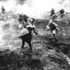 Quel est le bilan humain de la bataille de Verdun ?